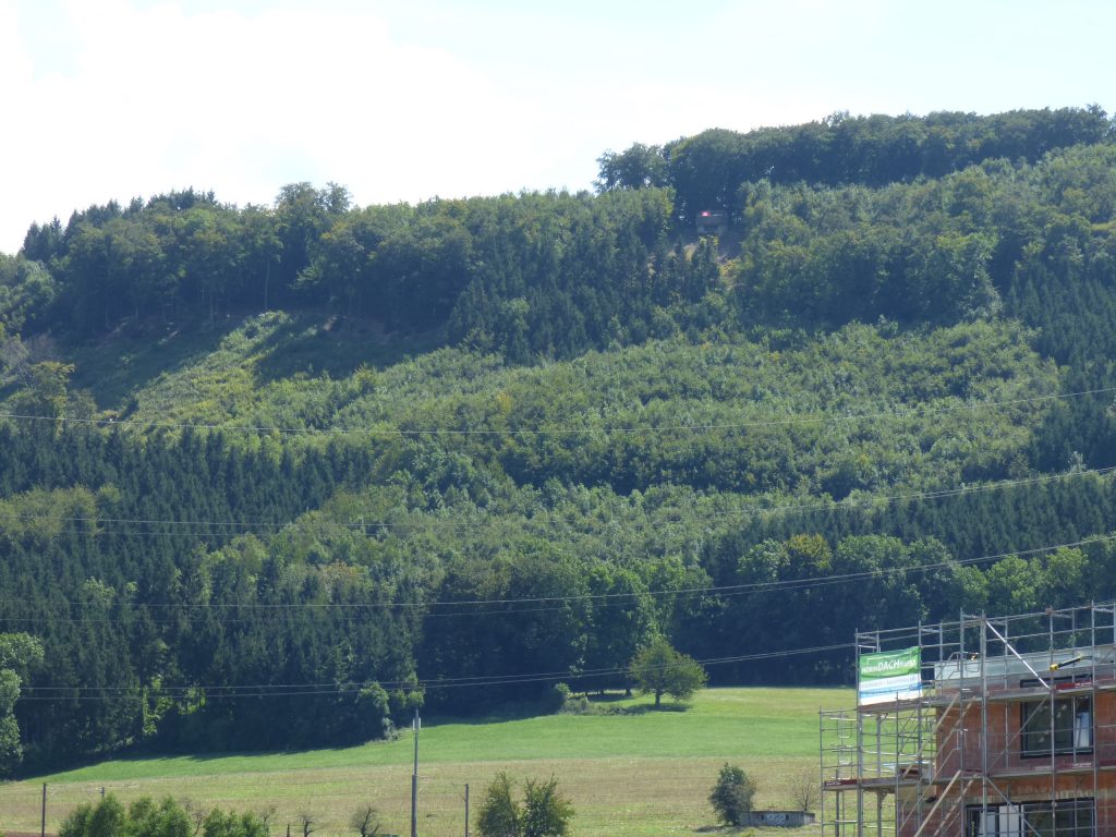 Flächenhiebe oberhalb Frick, kantonaler Kernraum für Landschaftsentwicklung, 11.08.2016